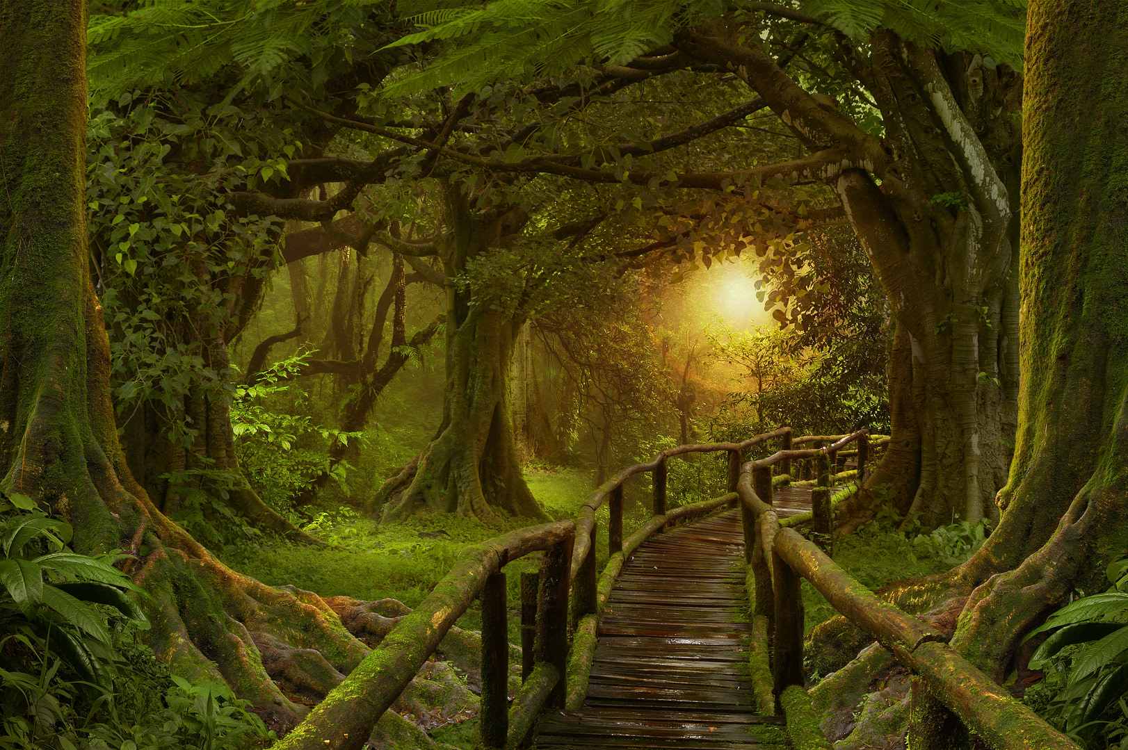 Path through a Southeast Asian tropical jungle