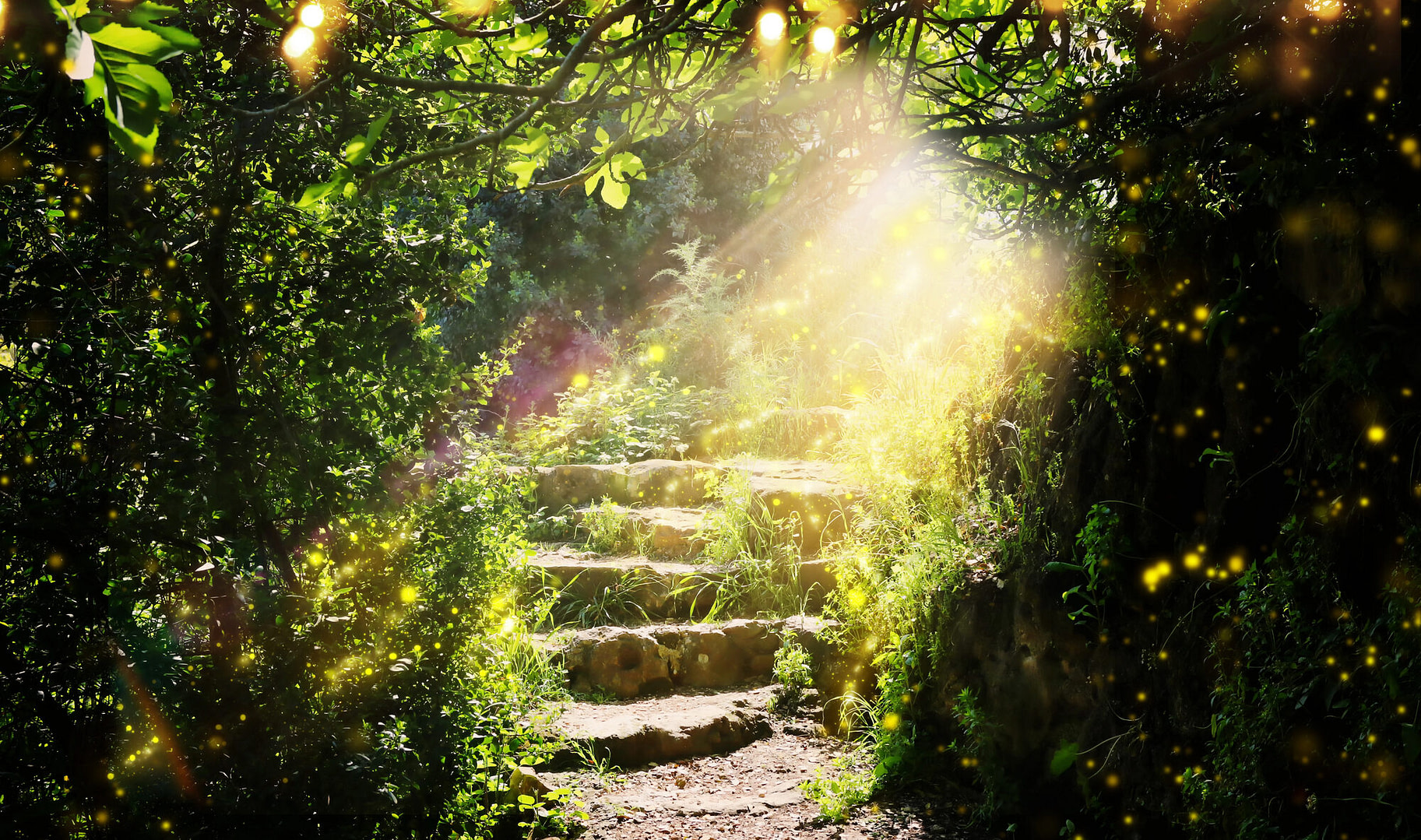 stone stair through a forest