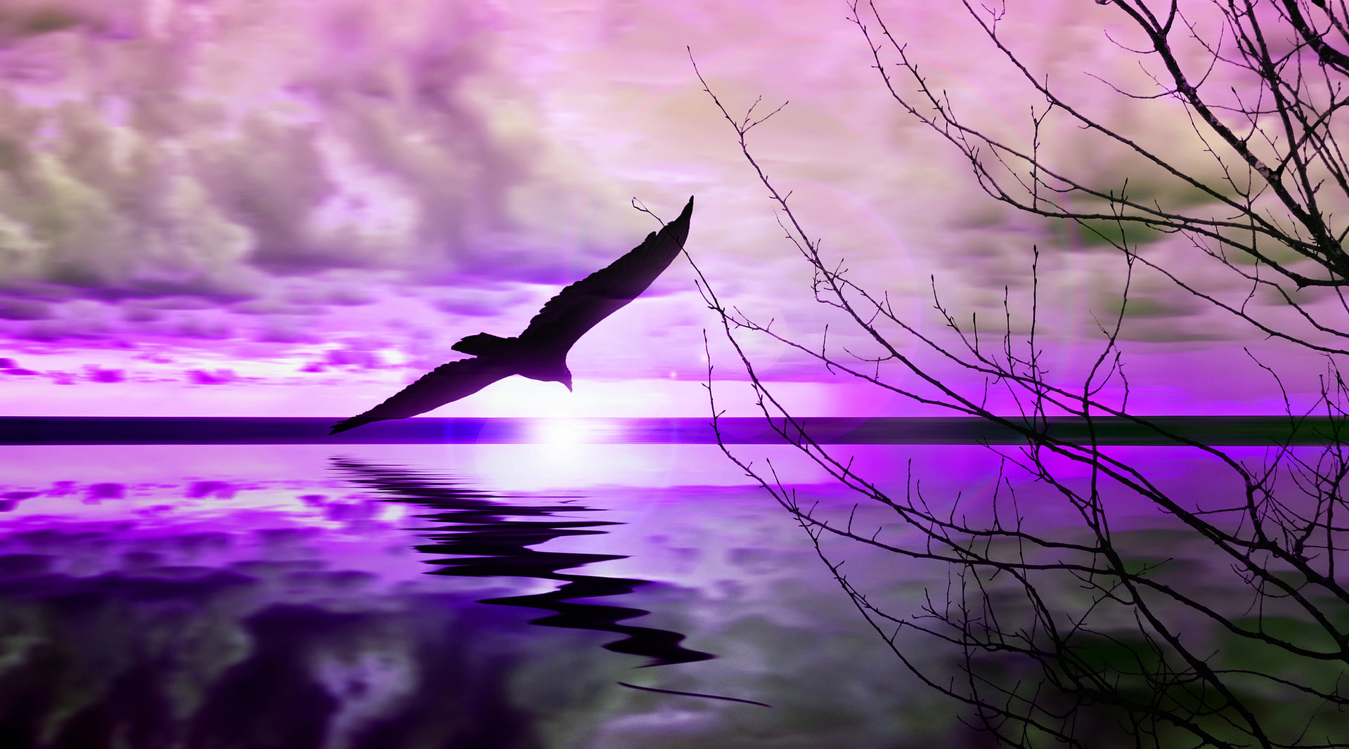 Accepting reality and breaking free-bird flying over water with purple sky