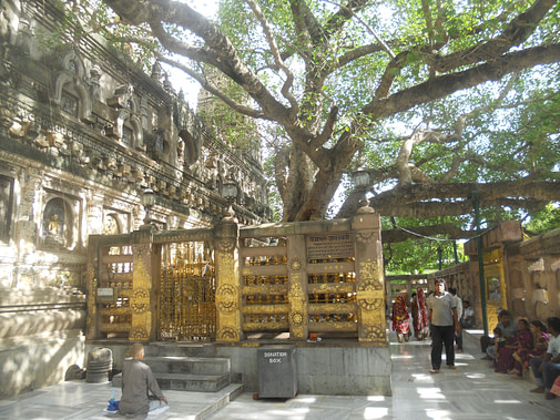 8826B209-23F6-4642-9C62-95C0581BA1C7