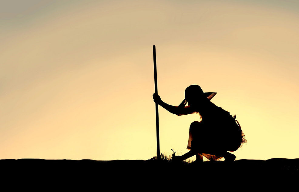 Silhouette of Woman Pulling Weeds from Garden Silhouette of Woman Pulling Weeds from Garden