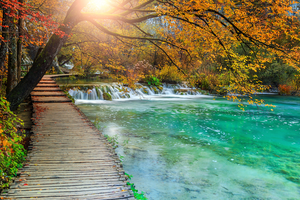 Beautiful wooden pathway in colorful autumn forest Beautiful wooden pathway in colorful autumn forest portraying the essence of gratitude