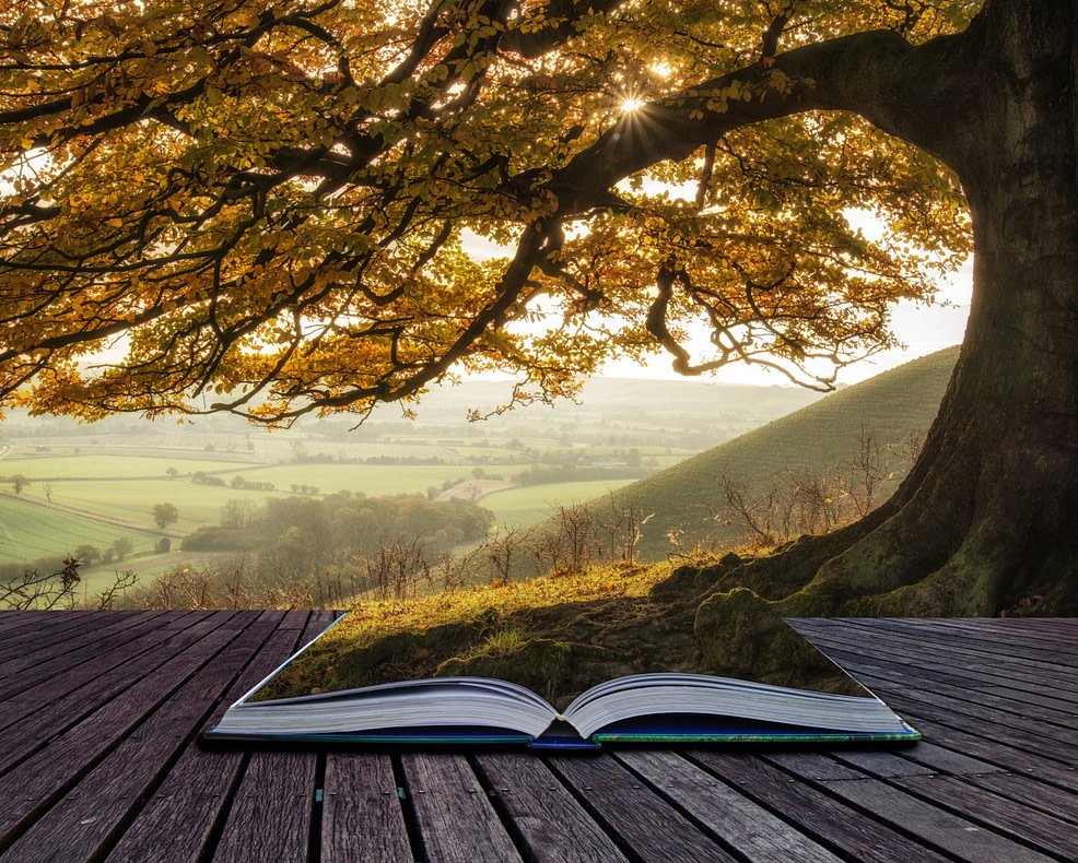 Becoming Real Autumn morning, sunlight lights landscape becoming one with an open book on the ground