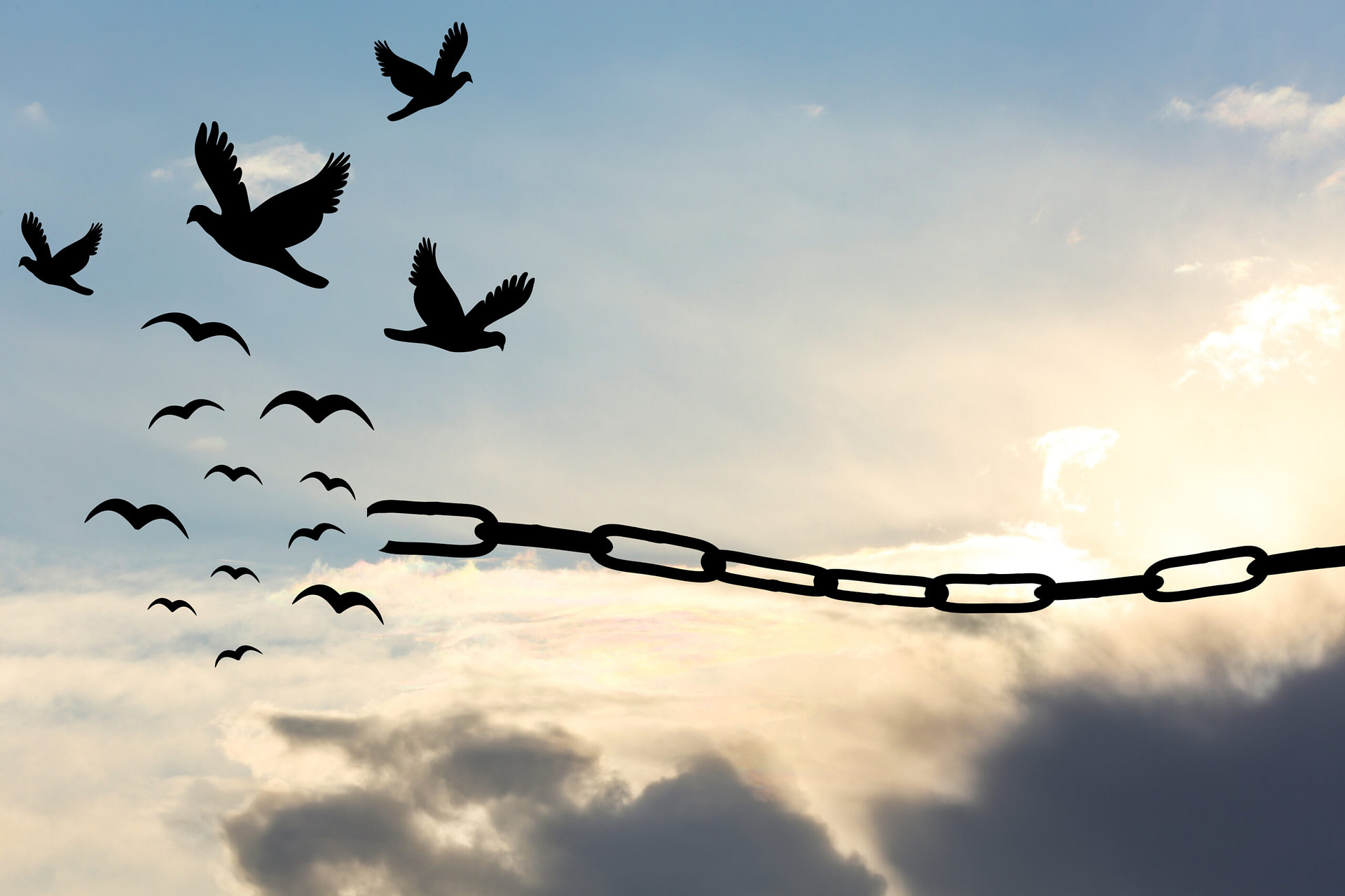 Freedom concept. Broken chain and birds flying