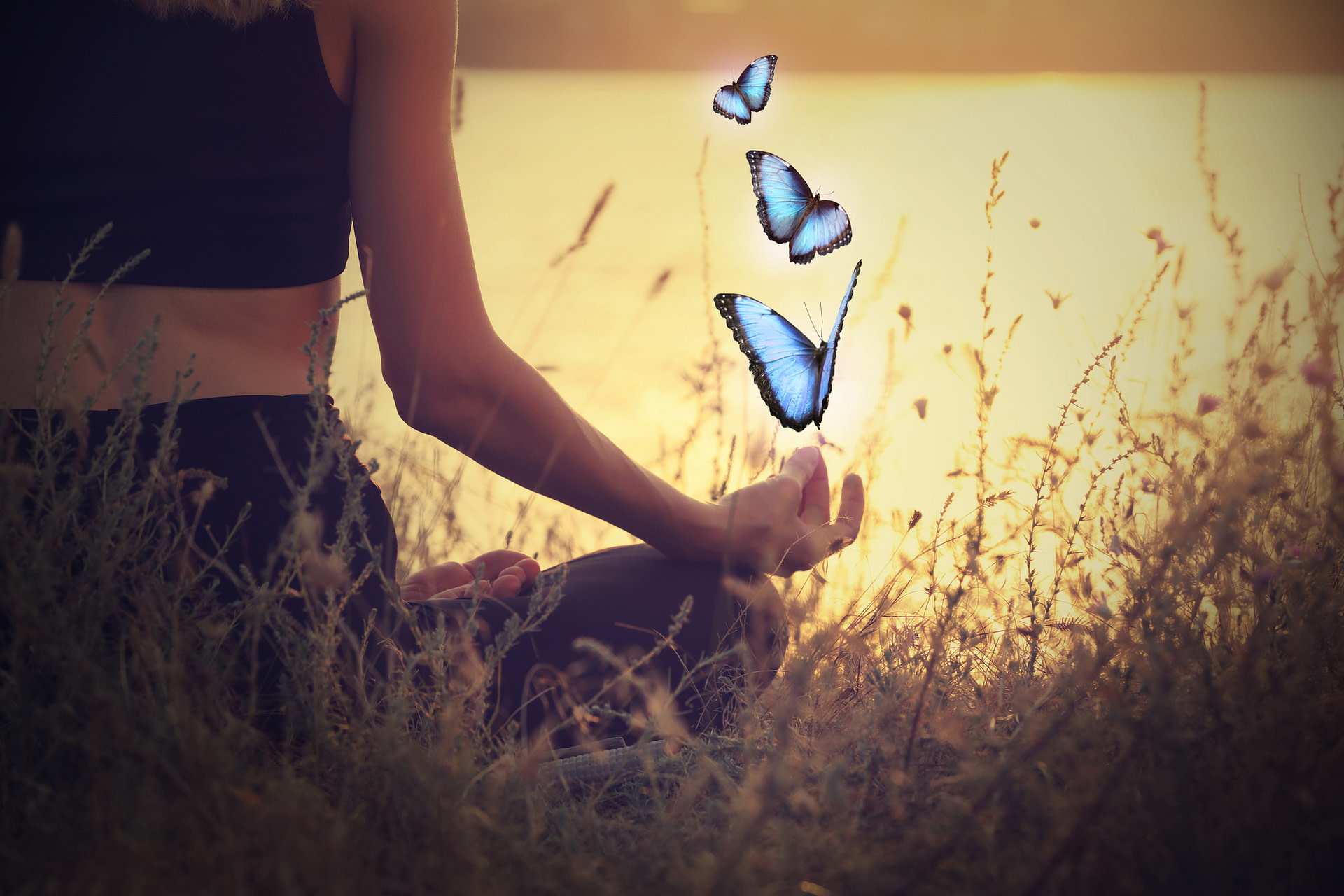 back of woman meditating at sunset with butterflies