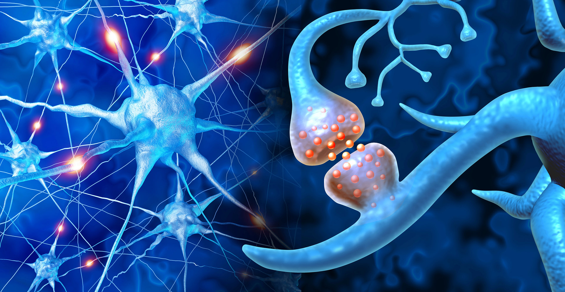 close up of brain neurons and connections lit up over blue background